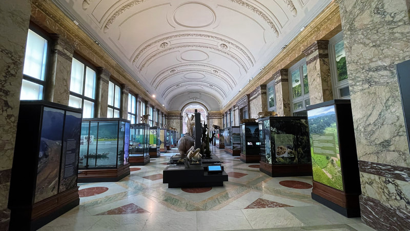 Musée Royal Africain de Tervuren. Belgique. Musée Royal Africain de Tervuren. Belgique.