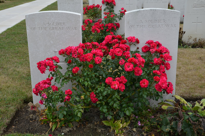 Tyne Cot Cementery in Belgium. 
Cmentarz Tyne Cot w Belgii. 