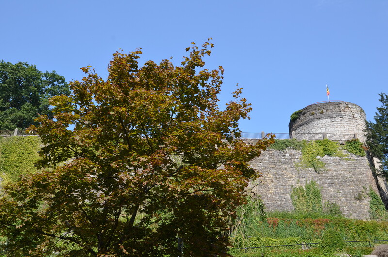 Ruines du château comtal de Rochefort. La Belgique. 